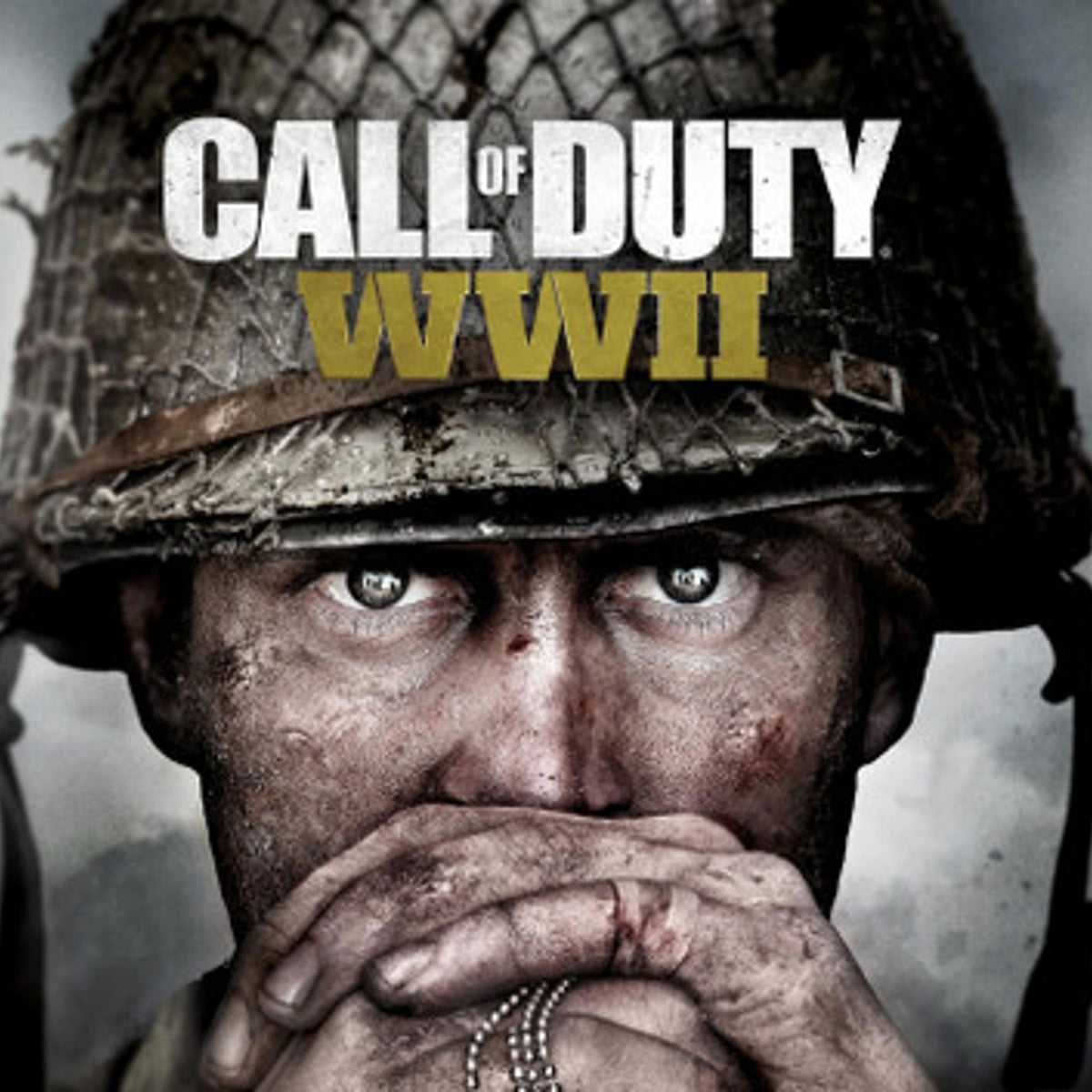 Activision Call of Duty World War II Video Game