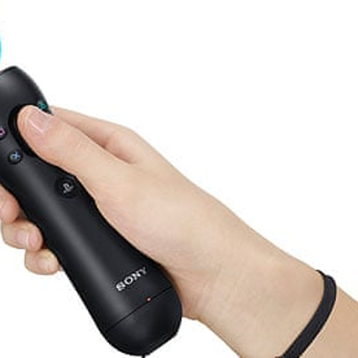 Sony EyePet Game for PlayStation 3 - PlayStation Move