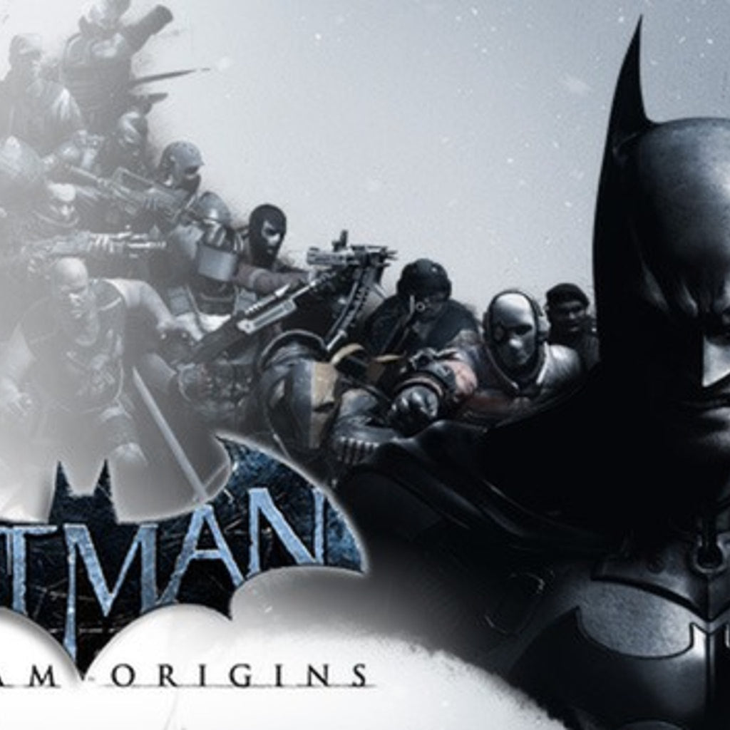 WB Games Batman: Arkham Origins for PlayStation 3, Offline Player