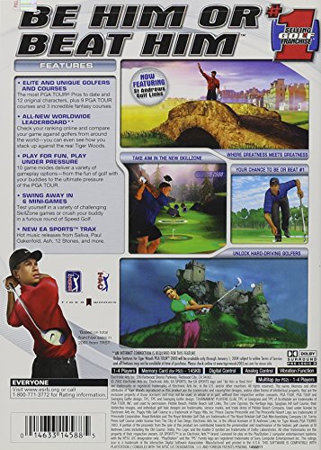 Electronic Arts Tiger Woods PGA Tour 2003 - PlayStation 2