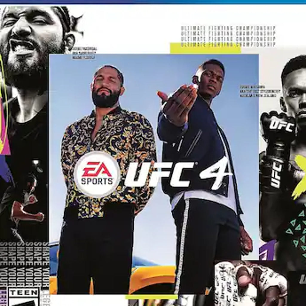 Electronic Arts EA Sports UFC 3 for PlayStation 4