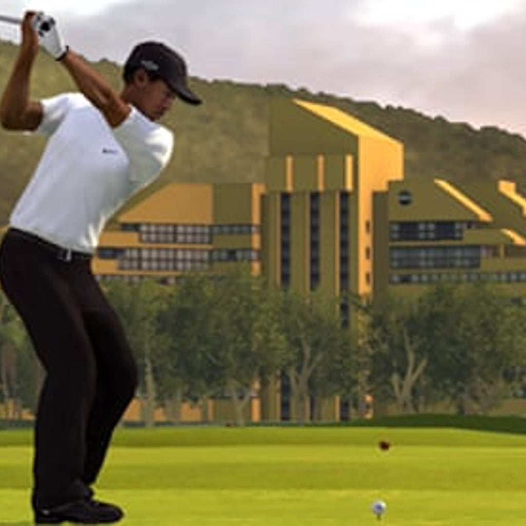 Tiger Woods PGA 09 Video Game